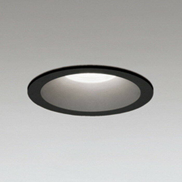 OD361119R ǥå 饤 ꦵ100 Ǯ100W  Ĵǽ