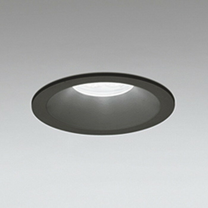 OD361128R ǥå 饤 ꦵ100 Ǯ60W  Ĵǽ
