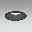 OD361129R オーデリック ダウンライト 埋込穴Φ100 白熱灯器具60W相当 温白色 調光可能