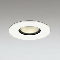 OD361072R ǥå ԥۡ饤 ꦵ100 Ǯ60W ŵ忧 Ĵǽ
