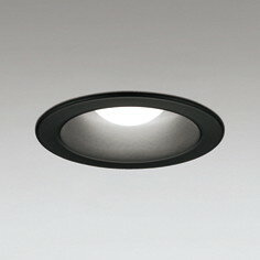 OD301072NR ǥå 饤 ꦵ100 Ǯ100W 