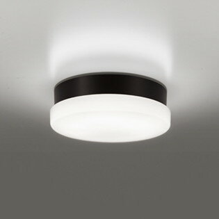 OW269040ND オーデリック 浴室灯 ポーチライト FCL30W相当 昼白色 防雨防湿型