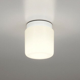OW009357NRLEDバスルームライト 浴室灯 白熱灯器具60W相当R15高演色 クラス2 昼白色 非調光オーデリック 照明器具 防湿型 天井付・壁付け兼用 シーリング