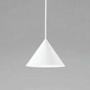 OP252896NR オーデリック ペンダントライト 白熱灯器具60W相当 昼白色 レール取付専用