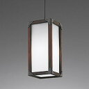 OP252029NR オーデリック ペンダントライト 白熱灯器具60W相当 昼白色 引掛シーリングタイプ