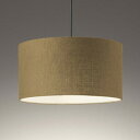 OP252291LR オーデリック ペンダントライト 白熱灯器具100W相当 電球色 引掛シーリングタイプ