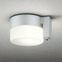 OG254987LCR オーデリック 軒下シーリングライト 人感センサー付 白熱灯器具60W相当 電球色 防雨型
