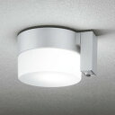 OG254987NCR オーデリック 軒下シーリングライト 人感センサー付 白熱灯器具60W相当 昼白色 防雨型