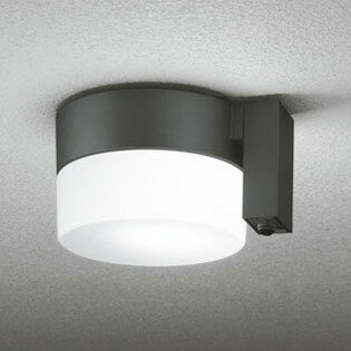 OG254988NCR オーデリック 軒下シーリングライト 人感センサー付 白熱灯器具60W相当 昼白色 防雨型