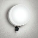 OG264107NCR オーデリック ポーチライト 人感知カメラ付 白熱灯器具60W相当 昼白色 防雨型