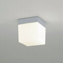 OW009414LR オーデリック 浴室灯 白熱灯器具60W相当 電球色 防雨防湿型