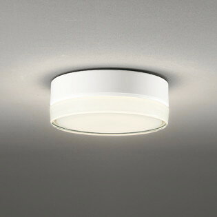 OG254960LD オーデリック ポーチライト FCL20W相当 電球色 防雨型