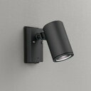 OG254706P1 オーデリック エクステリア スポットライト 人感センサー付 ビーム球150W相当 昼白色 防雨型