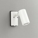 OG254724P1 オーデリック エクステリア スポットライト 人感センサー付 JDR75W相当 昼白色 防雨型