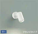 DSL5398AWG 大光電機 スポットライト 白熱灯器具100W相当 温白色 調光可能 DSL-5398AWG
