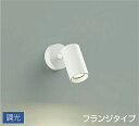 DSL5398YWG 大光電機 スポットライト 白熱灯器具100W相当 電球色 調光可能 DSL-5398YWG