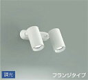 DSL5400WWG 大光電機 スポットライト 白熱灯器具100W×2灯相当 昼白色 調光可能 DSL-5400WWG