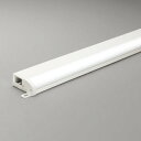 OL291191R オーデリック 間接照明 全長900mm 昼白色