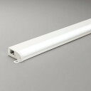 OL291194R オーデリック 間接照明 全長600mm 昼白色