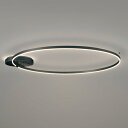 OC257244BC オーデリック シャンデリア 白熱灯器具100W×2灯相当 電球色 Bluetooth調光可能