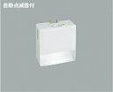 AE42043L コイズミ照明 保安灯 自動点滅器付