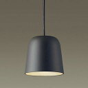 LGB10828 パナソニック ペンダントライト ランプ別売 LEDフラットランプΦ70用