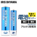 乾電池 単3 単三 単4 単四 電池 送料無料 BIGCAPA basic 単3×40本or単4×40本or単3×20本+単4×20本 LR6Bb/4P LR0...