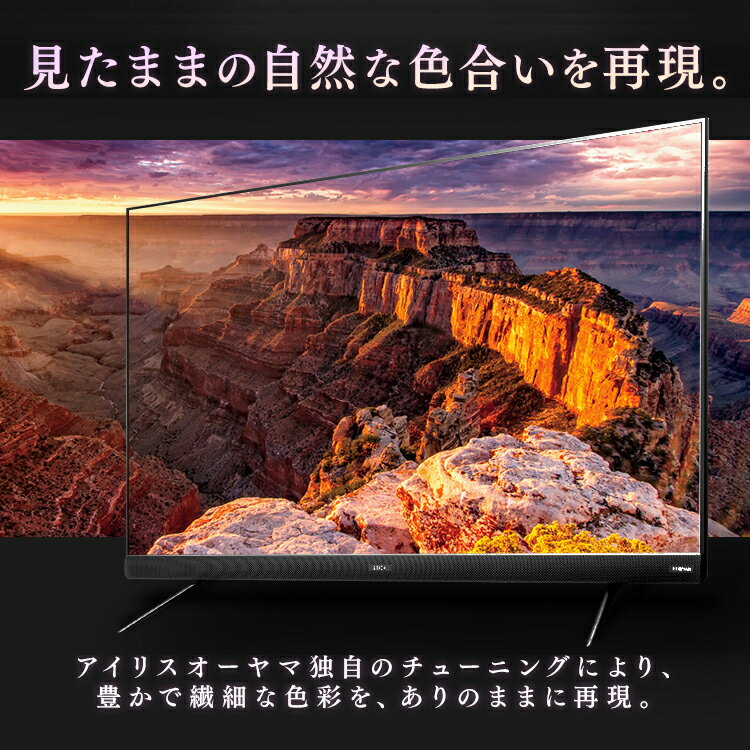 ＼400円OFFクーポン対象★／テレビ 49型 4K対応 音声操作 アイリスオーヤマ 液晶テレビ 49インチ ダブルチューナー 外付けHDD録画機能付き HDR対応 前面スピーカー 直下型LEDバックライト 4Kテレビ 4K液晶テレビ IPSパネル BS CS LUCA 49UB28VC
