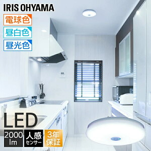 󥰥饤  2000lm LEDʹ󥵡 󥵡 ץ  ѥ   ꥹ led󥰥饤 led饤 󥵡  ʥ ʹ ϭ SCL20LMS-UU SCL20NMS-UU SCL20DMS-UU