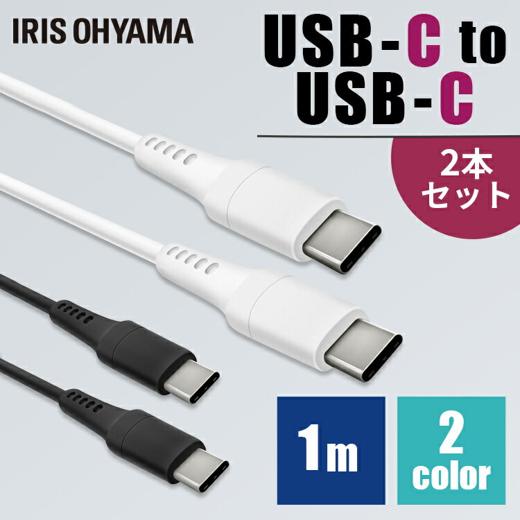 2ĥåȡUSB-C to USB-C֥ 1m ICCC-A10 2 Lightning֥ ֥̿  ǡ...