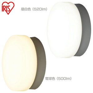 ؾ  LED - ݡ Ἴ ̵ ݷ  520lm ŵ忧 500lm led ݡ Ἴ  ꥹ  CL5N-CIPLS-BS CL5L-CIPLS-BS ʥ  뤤 ץ