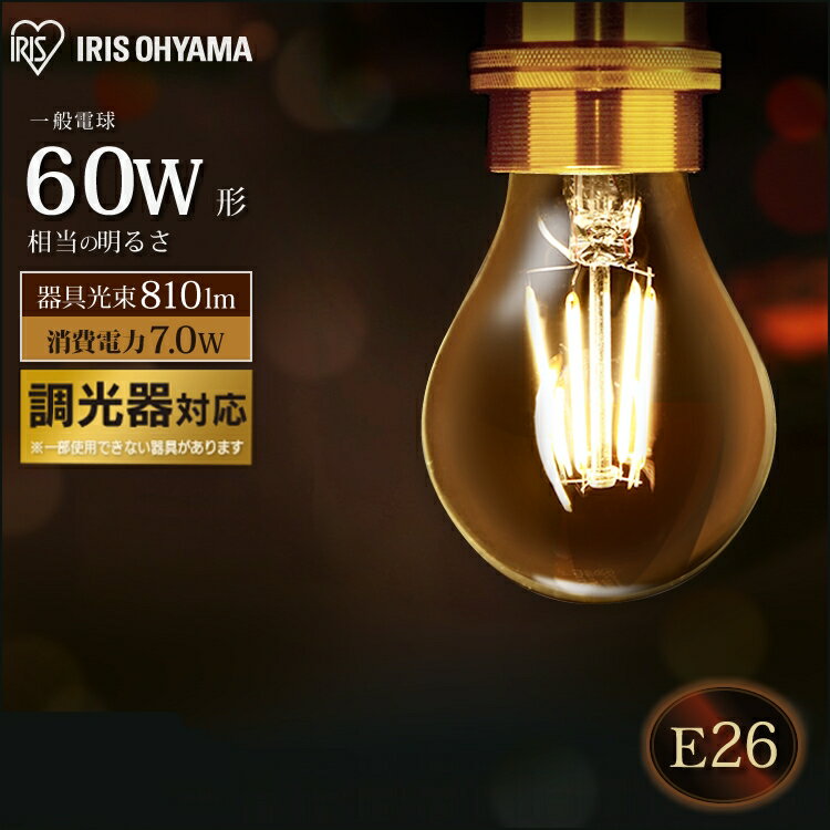 ★電球色相当 クリアのみ！在庫処分★ 電球 led e26 60形相当 フィラメント アイリスオーヤマ 60W LDA7N-G/D-FC LDA7L-G/D-FC LDA7N-G/D-FW LDA7L-G/D-FW 調光 昼白色 電球色 モダン 北欧 レトロ ヴィンテージ インテリア 透明 長寿命 省エネ