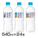 【24本】新潟名水の郷 津南の天然水 540ml ミネラルウォーター 水 天然水 清涼飲料 新潟 津南 軟水 湧水 ペットボトル まとめ買い 【D..