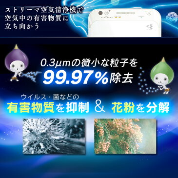 ストリーマ空気清浄機 ホワイト MC55X送料無料 空気清浄機 コンパクト 集塵 脱臭 TAFUフィルター ストリーマ アクティブプラズマイオン 花粉 菌 ウイルス ダイキン 【D】