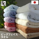 タオル フェイスタオル 日本製 フェイス かわいい 白 ギフトビッグフェイスタオル 泉州タオル ビッグ 速乾 国産タオル 泉州 Bピンク Rピンク Tレッド ラ...