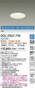 【送料無料】DDL-5567FW 大光電機 屋外灯 ダウンライト M形 畳数設定無し LED