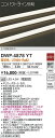 【送料無料】DWP-4878YT (専用電源装置・電源ケーブル必要) 大光電機 屋外灯 その他屋外灯 畳数設定無し LED
