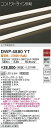 【営業日即日発送】【送料無料】DWP-4880YT (専用電源装置・電源ケーブル必要) 大光電機 屋外灯 その他屋外灯 畳数設定無し LED(3)