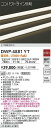 【送料無料】DWP-4881YT (専用電源装置・電源ケーブル必要) 大光電機 屋外灯 その他屋外灯 畳数設定無し LED