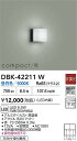 【営業日即日発送】【送料無料】DBK-42211W 大光電機 ブラケット 畳数設定無し LED