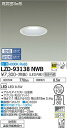 【送料無料】大光電機 LZD-93138NWB ダウンライト 一般形 形式設定無し 自動点灯無し 畳数設定無し LED≪即日発送対応可能 在庫確認必要≫ 安心のメーカー保証
