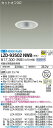 【送料無料】大光電機 LZD-93502NWB ダウンライト 一般形 畳数設定無し LED≪即日発送対応可能 在庫確認必要≫ 安心のメーカー保証
