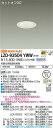 【送料無料】大光電機 LZD-93504YWW ダウンライト 一般形 畳数設定無し LED≪即日発送対応可能 在庫確認必要≫ 安心のメーカー保証