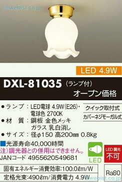 大光電機 DXL-81035 シーリングライト 畳数設定無し LED≪即日発送対応可能 在庫確認必要≫【setsuden_led】