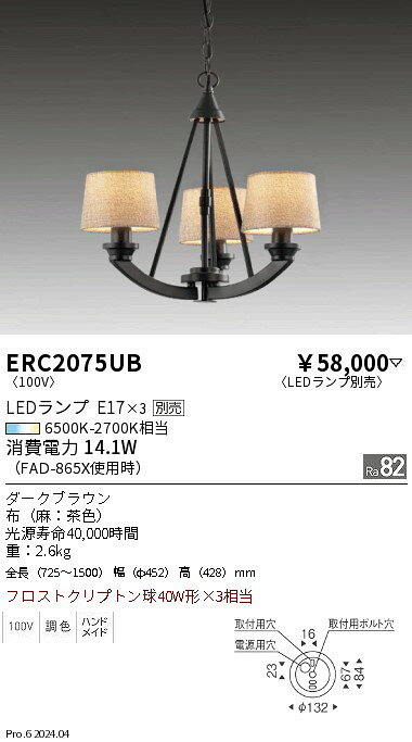 N区分遠藤照明ERC2075UBシ...