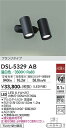 【送料無料】大光電機 DSL-5329AB スポットライト 畳数設定無し LED≪即日発送対応可能 在庫確認必要≫ 安心のメーカー保証