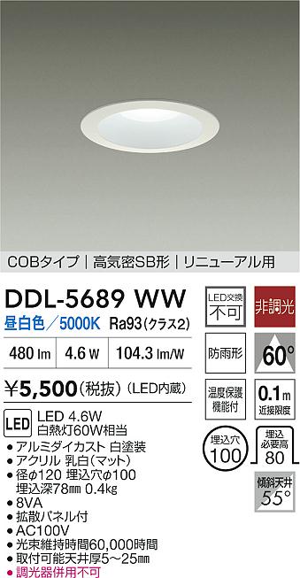 【送料無料】大光電機 DDL-5689WW ダウンライト 【高気密SB形】 畳数設定無し LED≪即日発送対応可能 在庫確認必要≫ 安心のメーカー保証