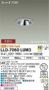 【送料無料】大光電機 LLD-7060LUM3 屋外灯 ダウンライト 畳数設定無し LED≪即日発送対応可能 在庫確認必要≫ 安心のメーカー保証