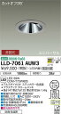 【送料無料】大光電機 LLD-7061AUW3 屋外灯 ダウンライト 畳数設定無し LED≪即日発送対応可能 在庫確認必要≫ 安心のメーカー保証