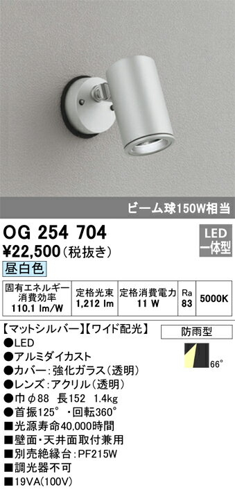 【送料無料】 オーデリック N区分 OG254704 屋外灯 スポットライト 自動点灯無し 畳数設定無し LED 安心のメーカー保証